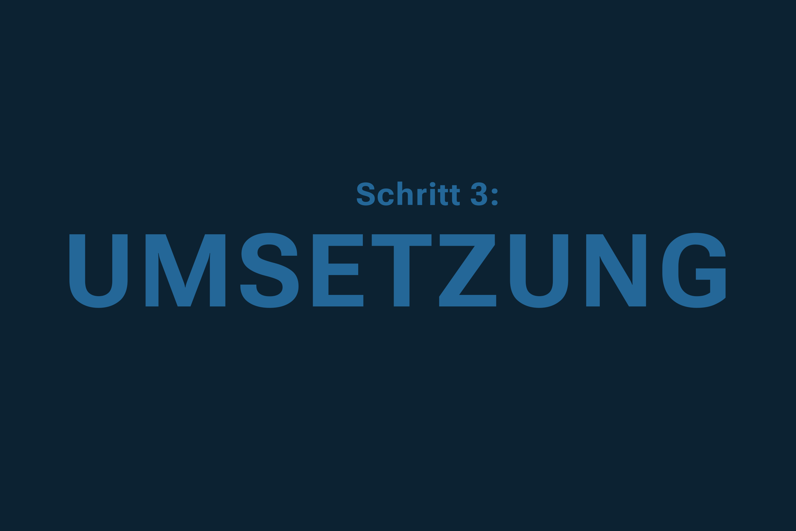 Schritt 3: Umsetzung