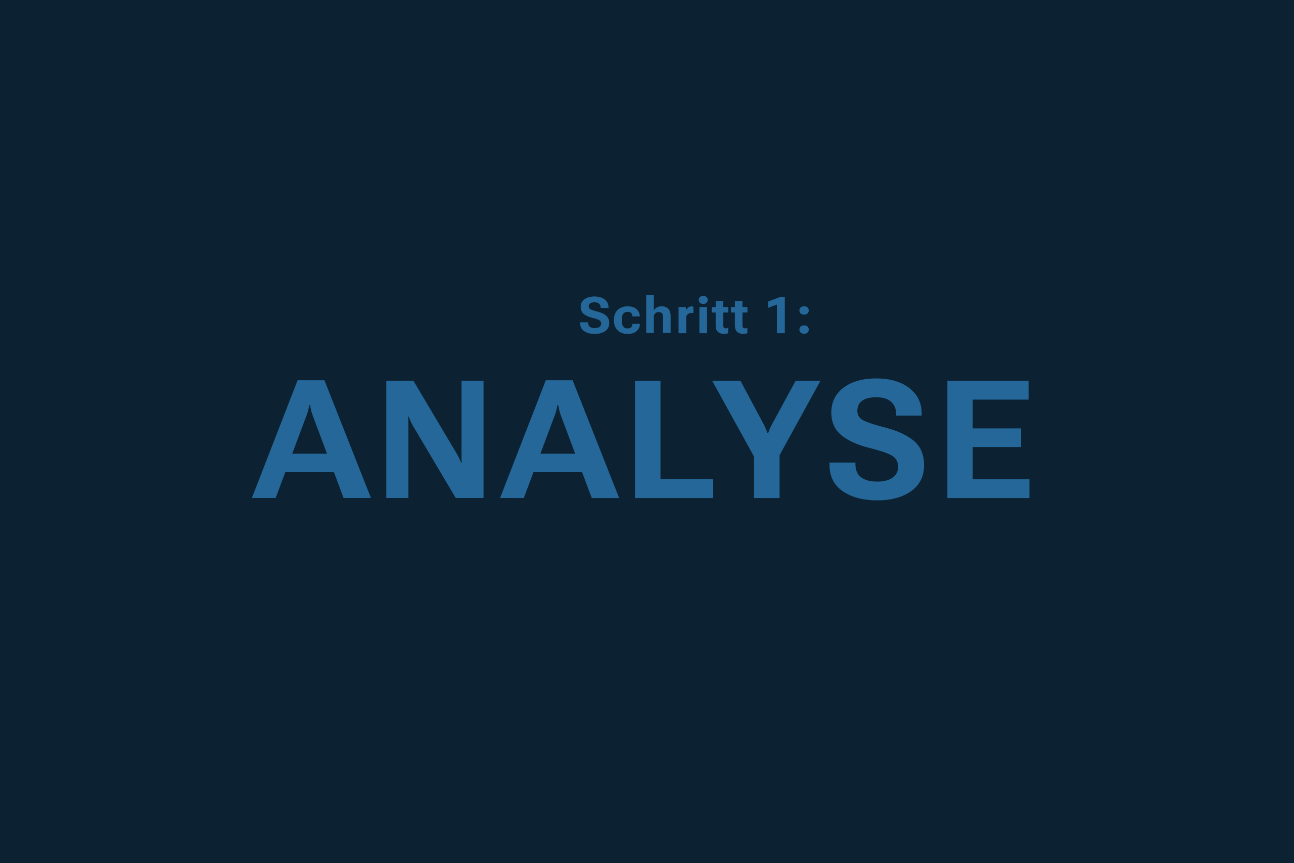 Schritt 1: Analyse